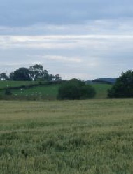 View from the River Steeping